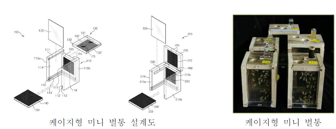 케이지형 벌통 개발 및 벌집 추출물 시험