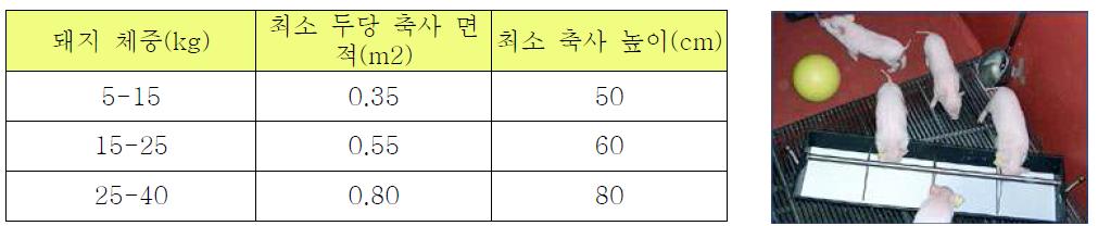 미니 돼지의 체중별 축사면적과 높이