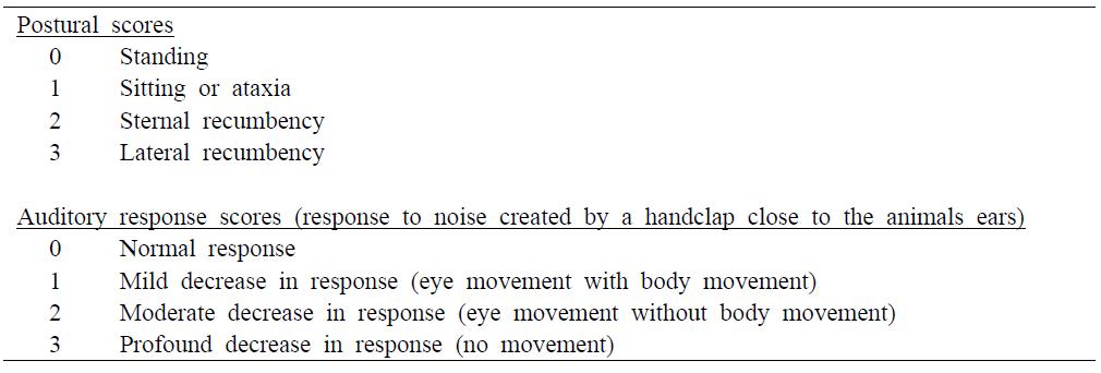 Postural and auditory response scores after anesthesia in micropigs