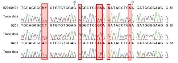 SLA-1 좌위에서 Heterozygote simulation test의 예