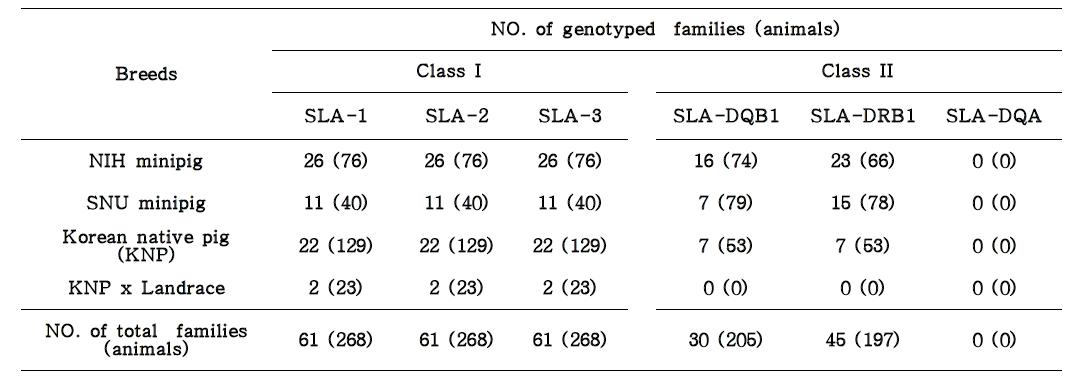 돼지 가계 내에서의 SLA 유전자형 분석을 통한 유전자형 분리 분석