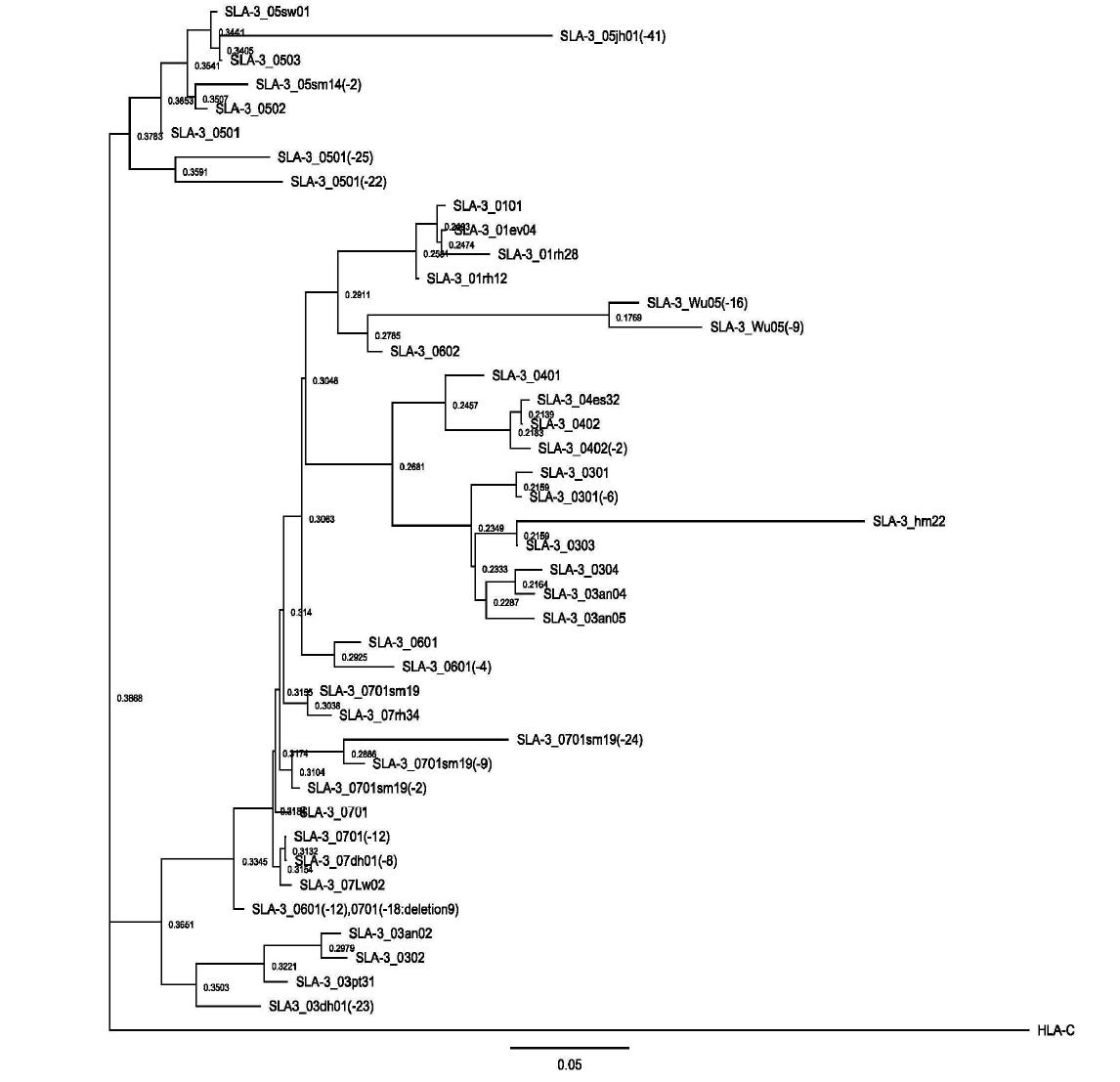 SLA-3 allele의 계통분류학적 분석