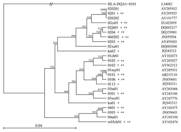 SLA-DQA allele의 계통분류학적 분석