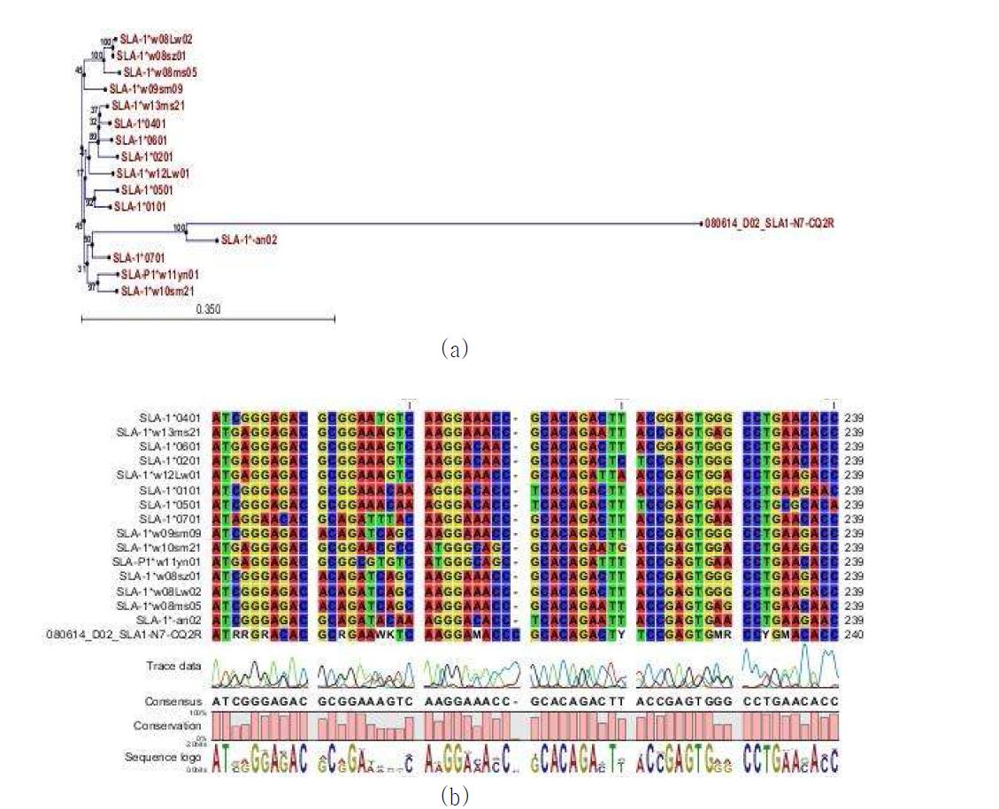 Guide-tree를 이용한 최대 근접 genotype 추정