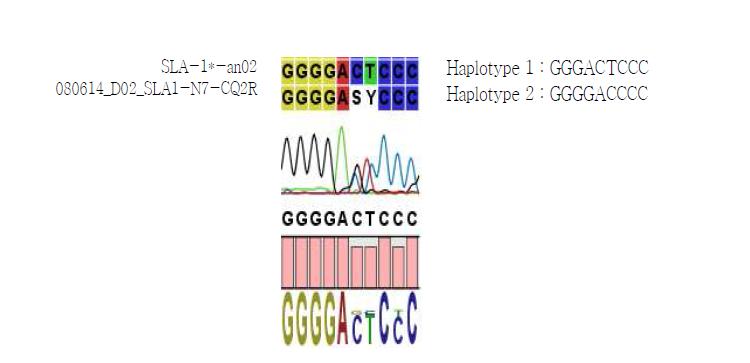 Haplotype 계산