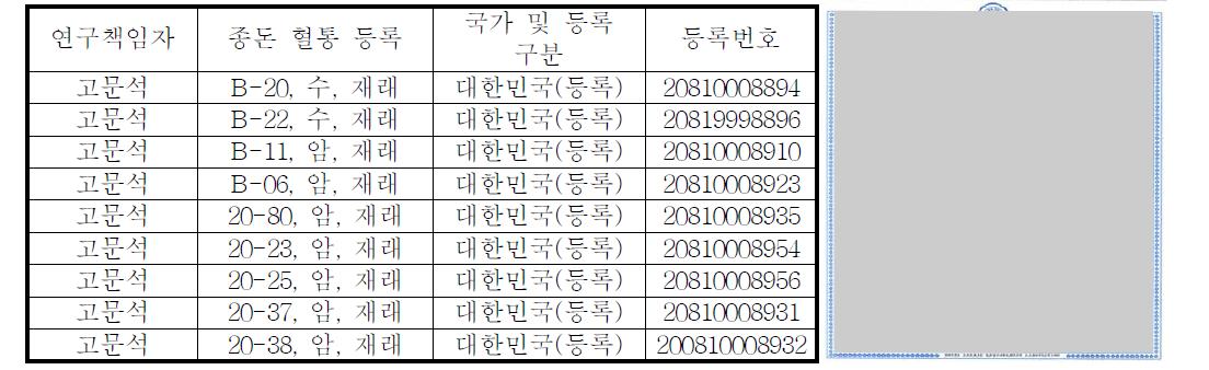 종돈 혈통 등록정보 (기초돈)