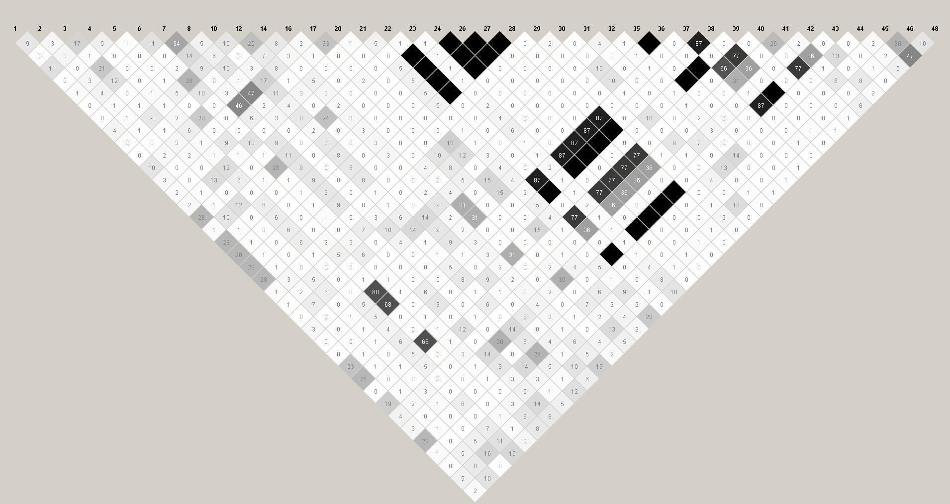 Haploview 4.1 program을 사용하여 SLA class Ⅲ의 48개 SNP의 LD block.