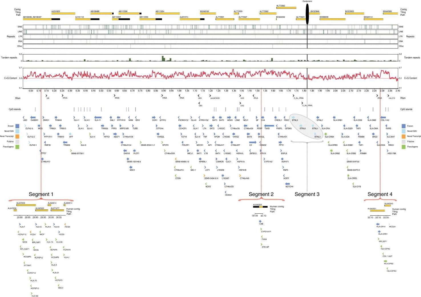 SLA I, II, 그리고 III 영역에 대한 BAC 클론 물리지도(Renard 등, 2006, Genomics)