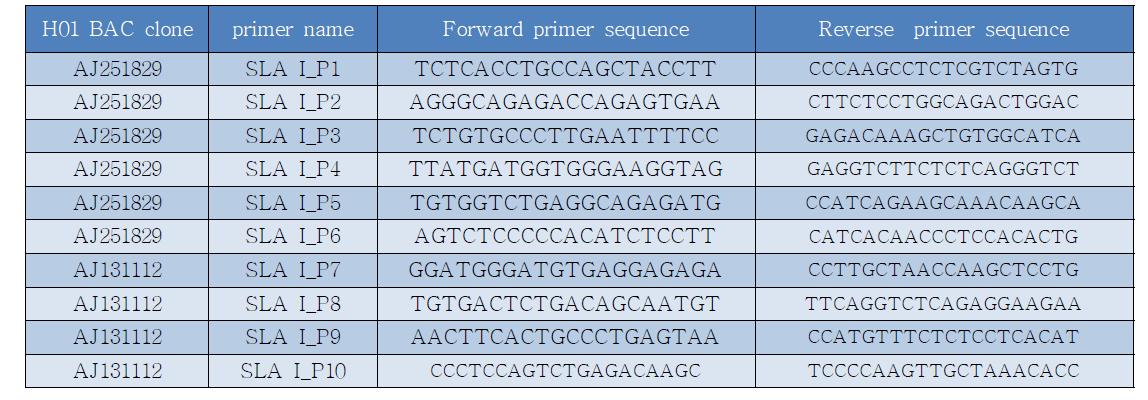 SLA I의 haplotype 1.0 기준에 따른 BAC 클론 선발용 프라이머 정보