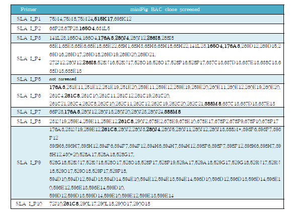 SLA I 영역에서 선발된 미니돼지 BAC 클론 리스트.