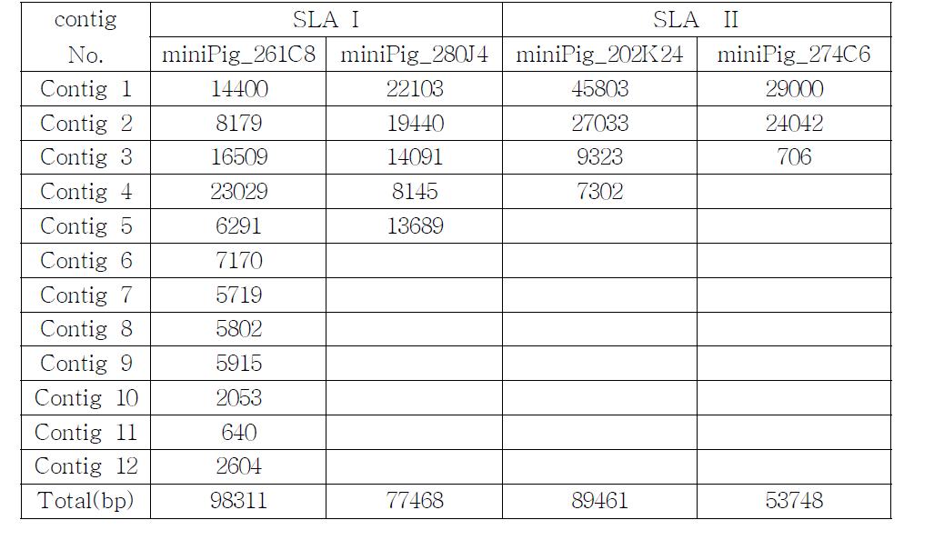 SLA I과 II 영역에서 선발된 4개 미니돼지 BAC 클론 해독 결과 요약