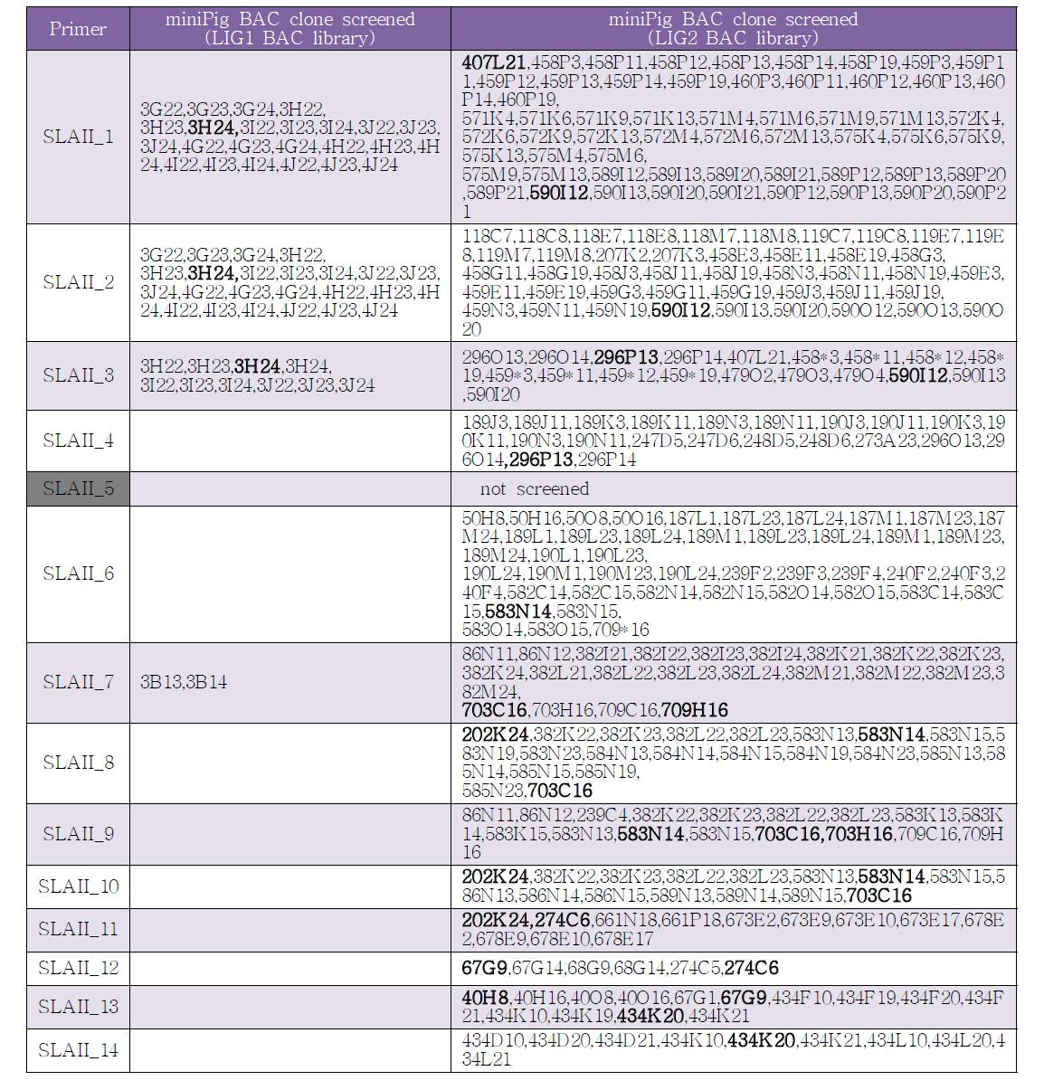 SLA II 영역에서 선발된 미니돼지 BAC 클론 리스트