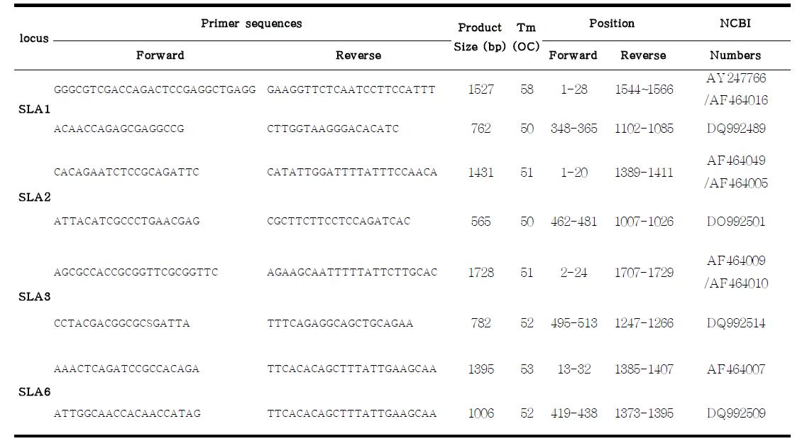 SLA-1, 2, 3 그리고 6 유전자를 증폭하기 위해 제작된 프라이머 정보