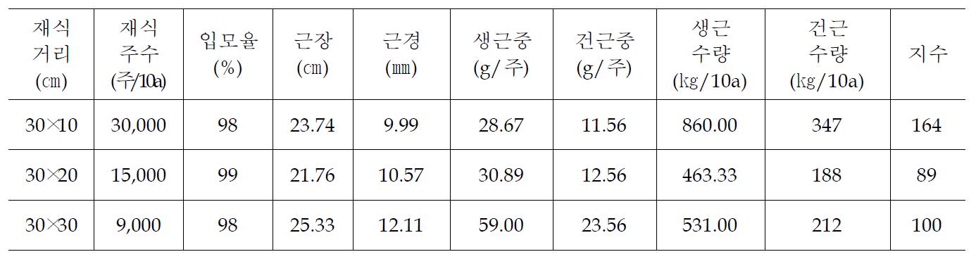 재식밀도별 지하부 생육 및 수량