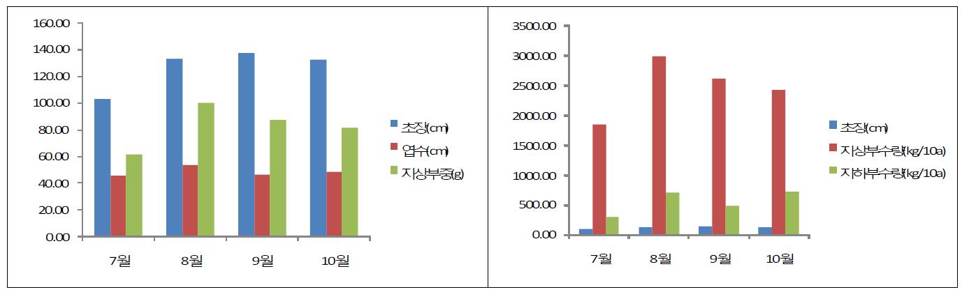 수확시기별 생육 및 수량 비교