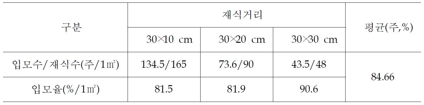 재식밀도별 입모율 비교