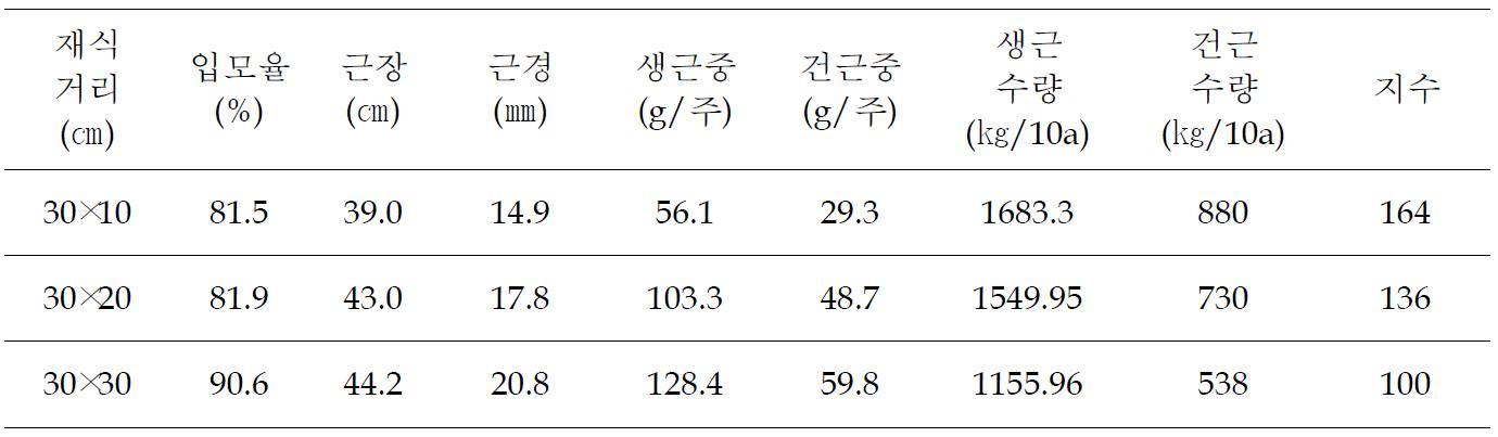 재식밀도별 지하부 생육 및 수량특성