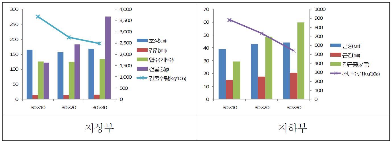 재식거리별 생육 및 수량비교