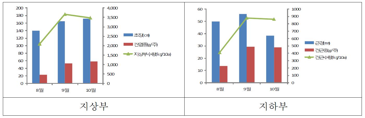 수확시기별 생육 및 수량 비교