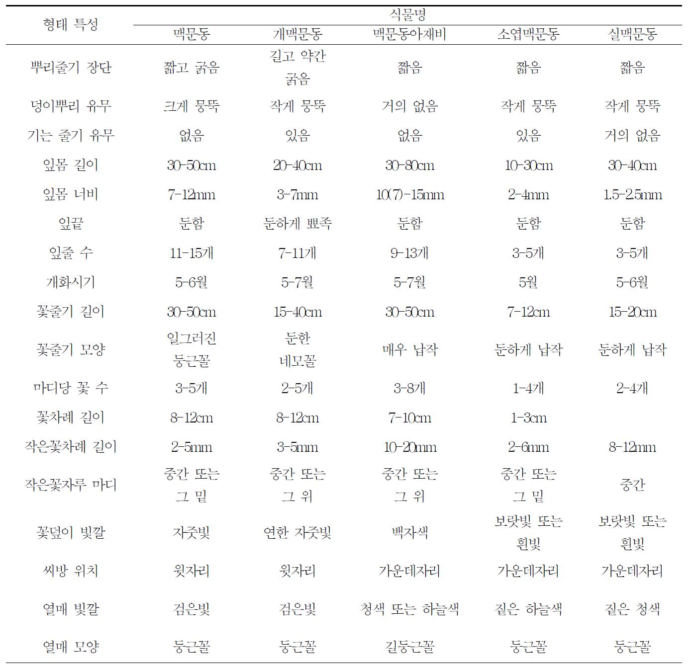 맥문동아과 식물의 형태특성 비교표