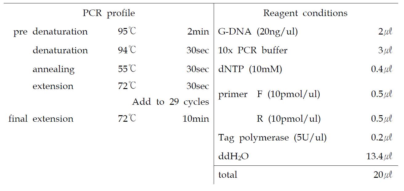 PCR 조건