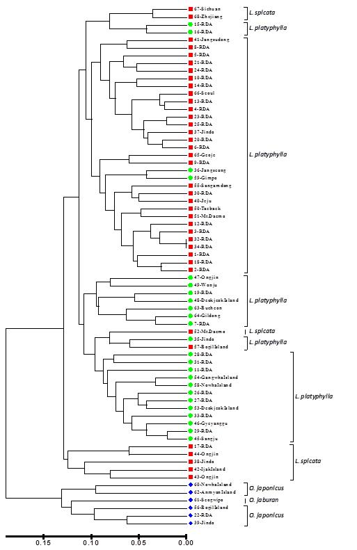 22개 EST-SSR 마커를 이용한 UPGMA Tree(Group I : Liriope, Group II : Ophiopogon)