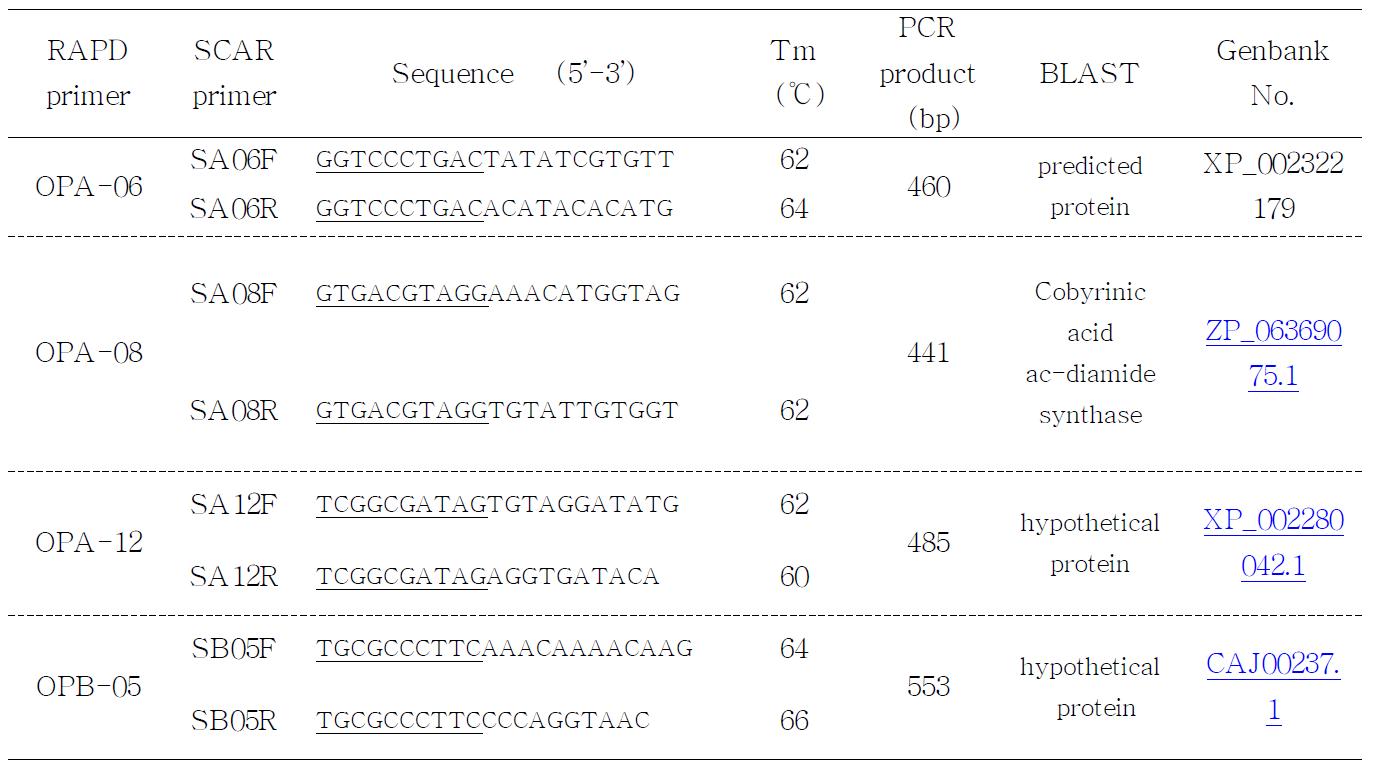 RAPD 마커에서 유래된 종 특이적 SCAR primer