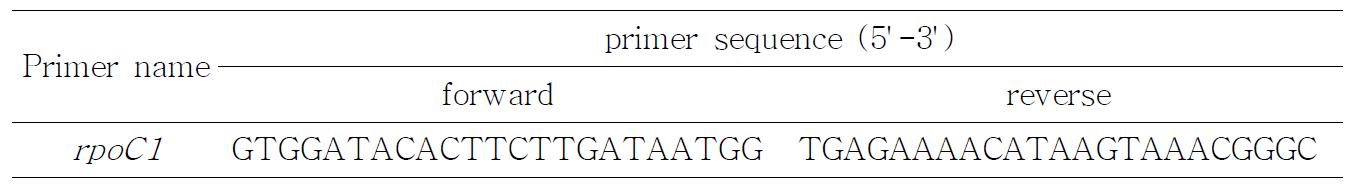 rpoC1 프라이머 정보