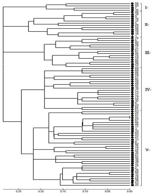 한국 각지에서 수집된 85 accessions 간의 유전적 관계
