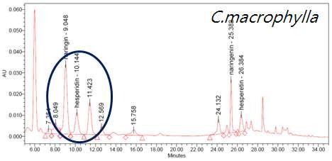 Citrus macrophylla의 HPLC 크로마토그램