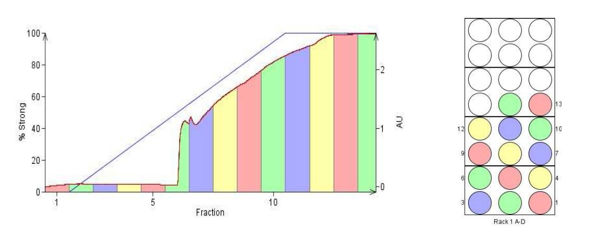 가압액체 크로마토그래피 Fraction의 UV 모니터링