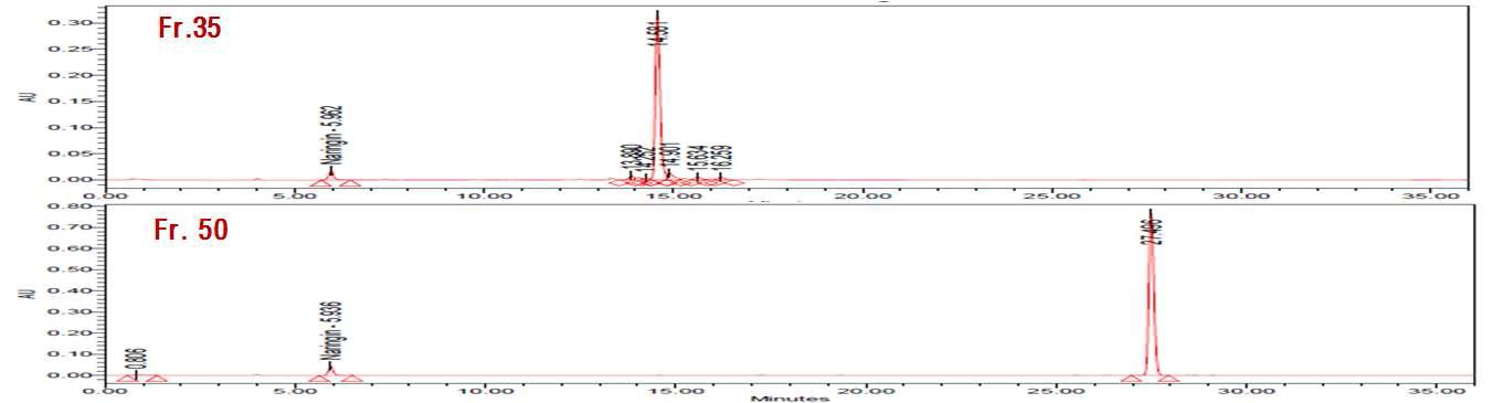 MPLC분리 분획의 HPLC 크로마토그램