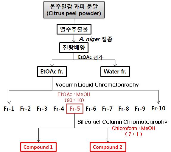 추출모식도