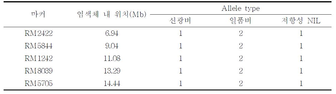 끝동매미충 저항성 연관마커 이용 저항성 유전자 위치 탐색