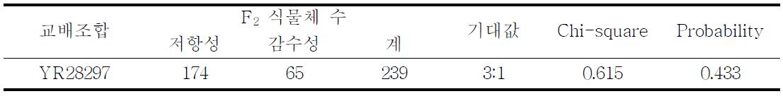 YR28297(일품*6/신광) NIL BC5F2 239계통을 이용한 생물검정