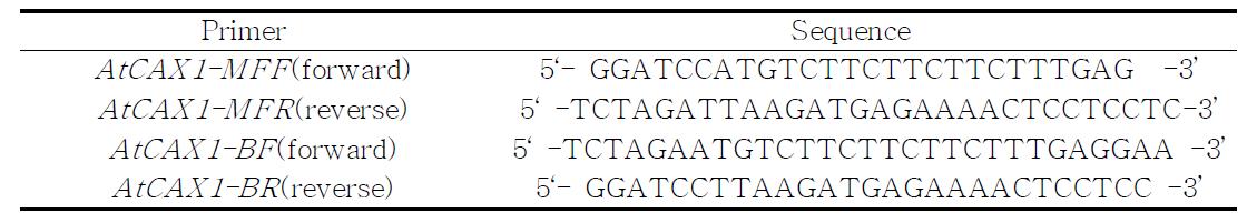AtCAX1 증폭을 위한 프라이머 셋트