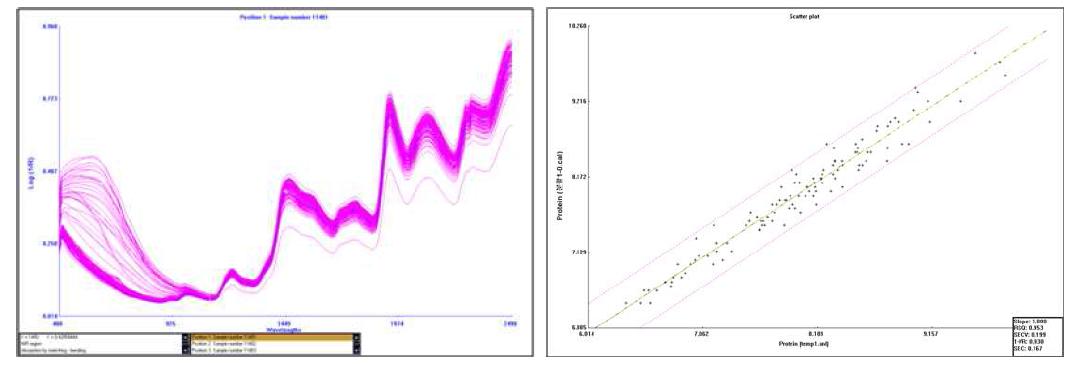단백질 함량 측정을 위한 근적외선 원스펙트럼과 표준화 검량선 결과