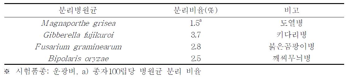 벼 종자에서 분리된 병원균 현황