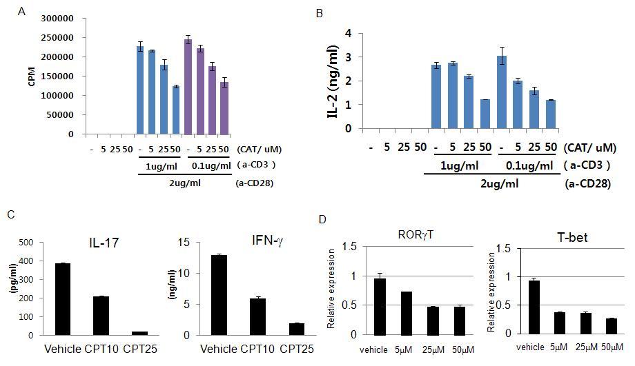 Capsiate의 CD4+ T-세포 활성 및 분화 억제 작용