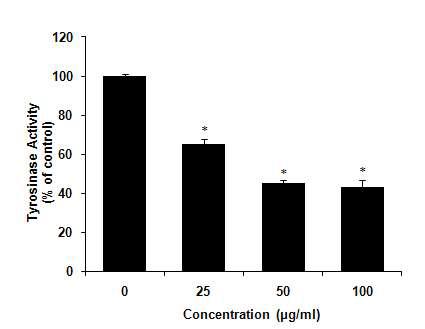로얄제리 처리에 의한 Tyrosinase억제 효과 측정