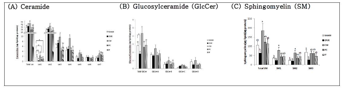 표피의 ceramide, glucosylceramide 및 sphingomyelin 함량