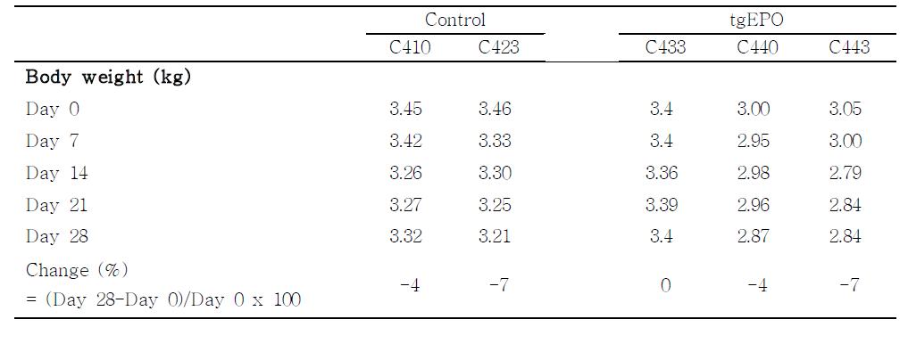 Cynomolgus monkey에 tgEPO의 단회투여후 체중의 변화