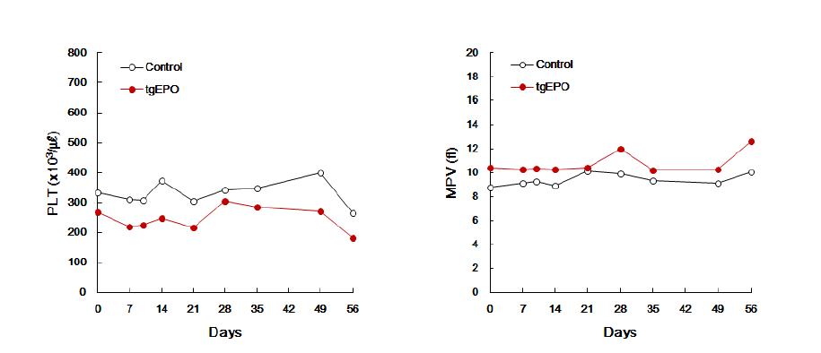 Cynomolgus monkey에서 tgEPO 반복투여후, 혈소판 관련 지표의 변화.