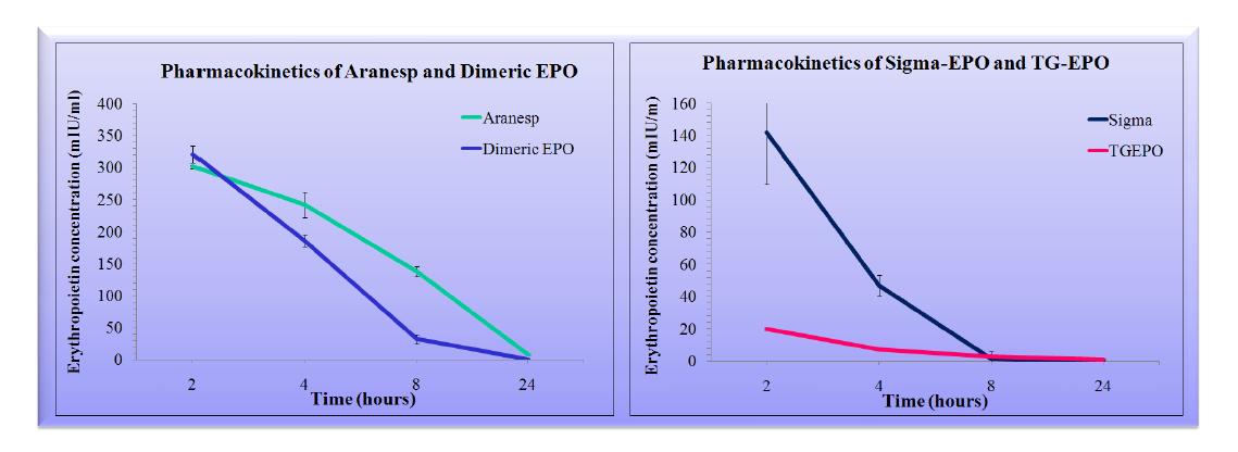 tgEPO, Aranesp, Sigma EPO, dimeric EPO의 약동학 분석