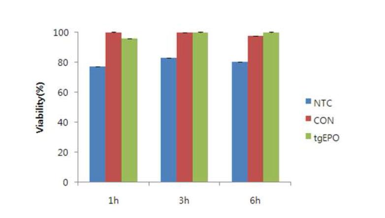 Ioversol (200mg iodine/mL, 1시간) 첨가 및 제거후 tgEPO 첨가 배양 (1, 3, 6시간)에 따른 HEK293 세포의 생존율 조사.