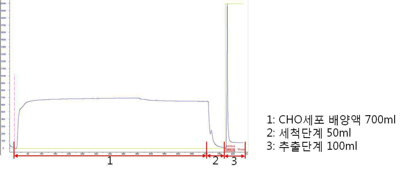 발현 동물세포 배양액에서 사람 재조합 SOD3 발현 분획을 얻기 위한 FPLC 결과
