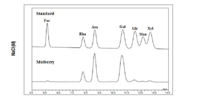 Monosaccharide composition analysis of the purified Mulberry polysacharide by HPAEC-PAD after TFA fydrolysis. (A) standard. (B) acid hydrolysis from purified Mulberry polysaccharide.
