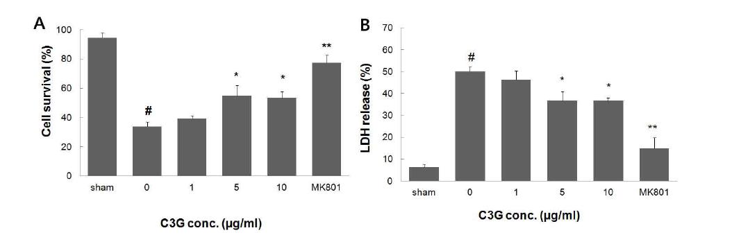 Neuroprotective effect of mulberry anthocyanin in OGD model