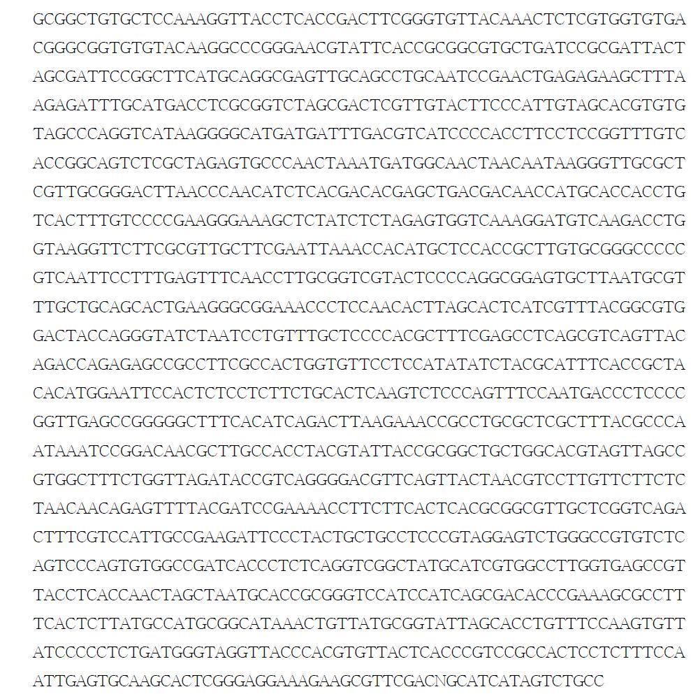 16S rRNA sequence of the selected lactic acid bacteria