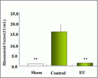 Inhibitory effect of Eucommia ulmoides Oliv on rheumatoid factor expression